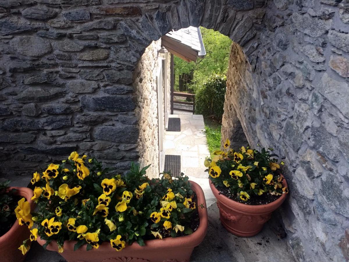Agriturismo La Fonte Di Mariella Gravedona Exteriör bild